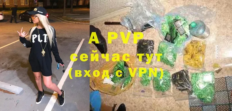 как найти   Черкесск  A-PVP СК КРИС 